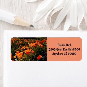 Orange Mexican Gold Poppies blooming in springtime Return Address Label