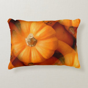 Orange Mini Pumpkins And Gourds Fall Photo Decorative Cushion