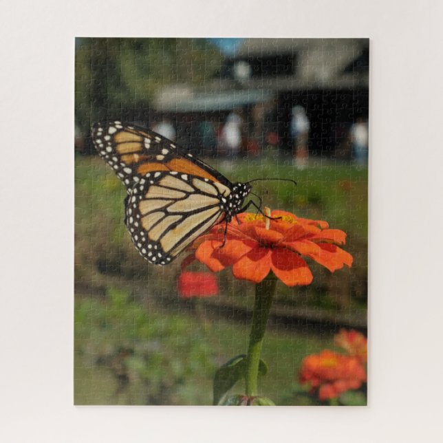 Orange Monarch Butterfly During Cape May Migration Jigsaw Puzzle (Vertical)