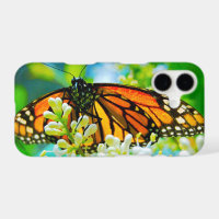 Orange monarch butterfly photo bold simple modern