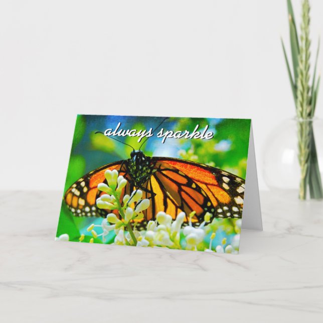Orange Monarch Butterfly Photograph Always Sparkle Card (Front)