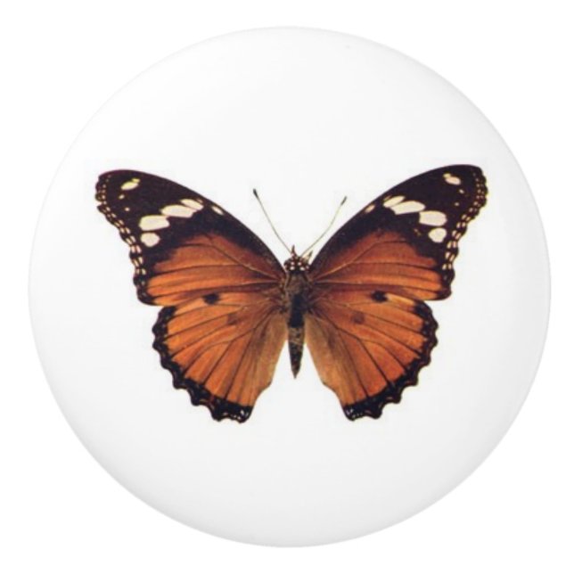 Orange Monarch Butterfly vintage art Ceramic Knob (Front)