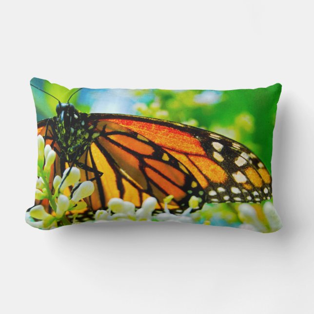 Orange Monarch Butterfly White Flower Photo Bold Lumbar Cushion (Front)