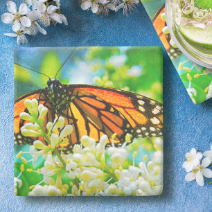Orange Monarch Butterfly White Flower Photo Bold Stone Coaster