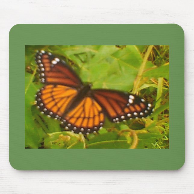 Orange Monarch Mouse Pad (Front)