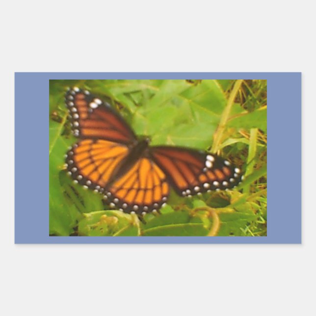 Orange Monarch Rectangular Sticker (Front)