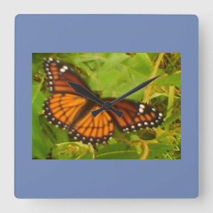 Orange Monarch Square Wall Clock