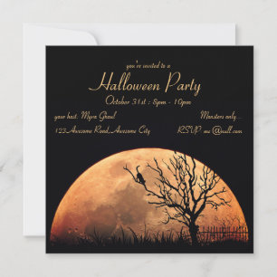 Orange Moon, Black Cat Invitation