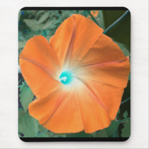 Orange Morning Glory Mouse Pad