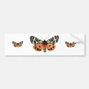 orange moth bumper sticker