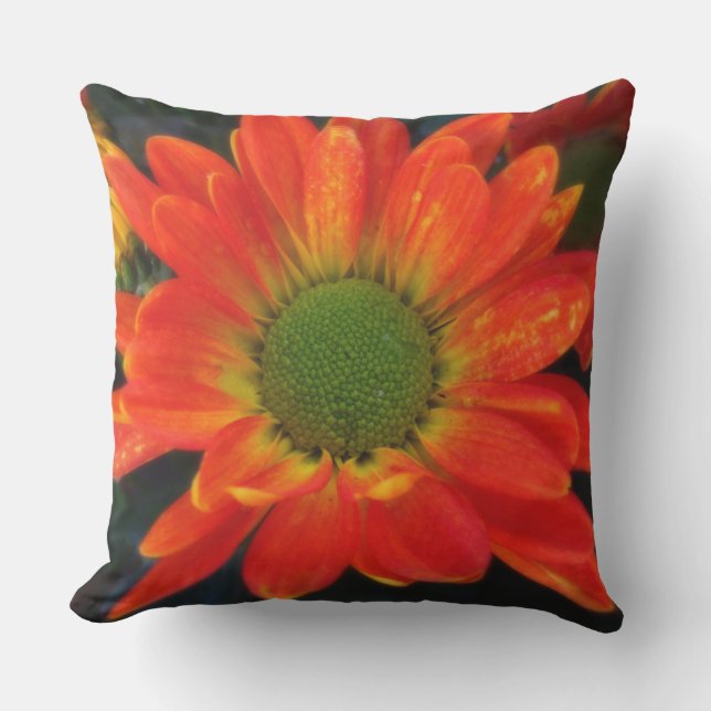 Orange Mums Outdoor Accent Pillow (Front)