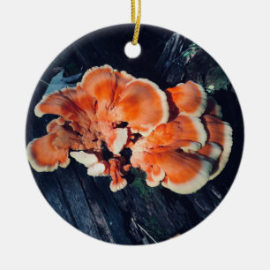Orange Mushroom Circle Ornament