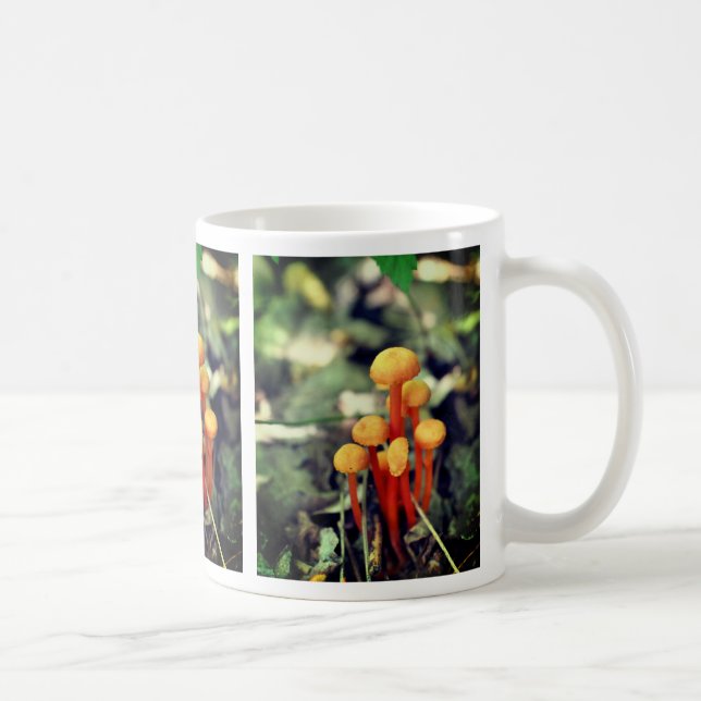 Orange Mushrooms Nature  Coffee Mug (Right)