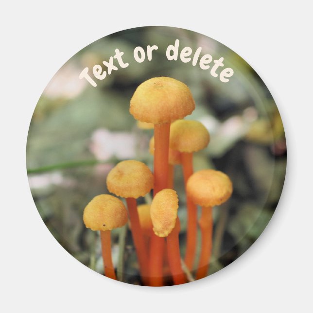 Orange Mushrooms Nature Personalized Magnet (Front)