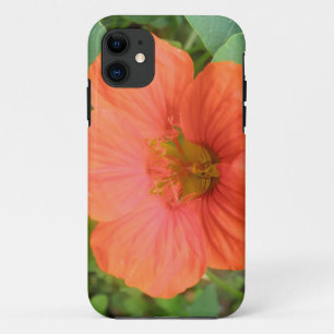 Orange Nasturtium Flower iPhone 5 Case