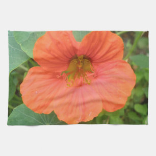 Orange Nasturtium Flower Kitchen Towel
