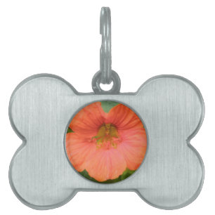 Orange Nasturtium Flower Pet Tag