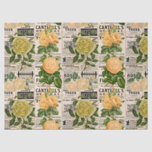 Orange & Olive Roses on Vintage Newsprint Tissue Paper