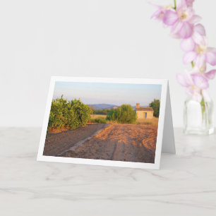 Orange Orchard Landscape Card