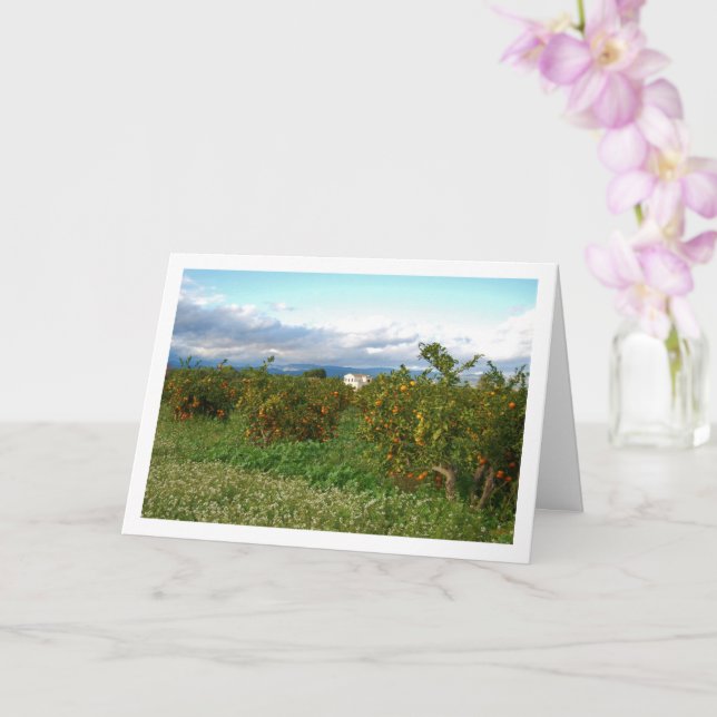 Orange Orchard, Valencia, Spain Card (Orchid)