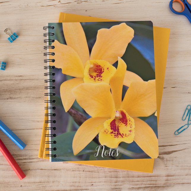 Orange Orchid Blooms Floral Notebook (In Situ)