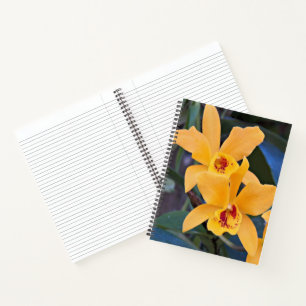 Orange Orchid Blooms Floral Notebook