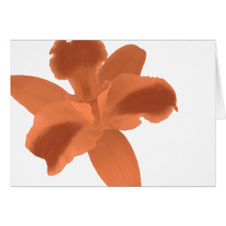 Orange Orchid Card