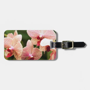 Orange Orchid Hybrid, South Africa Luggage Tag