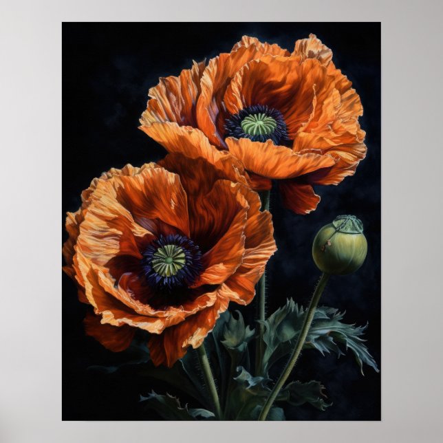 Orange Oriental Poppy Flowers Art Print Poster (Front)