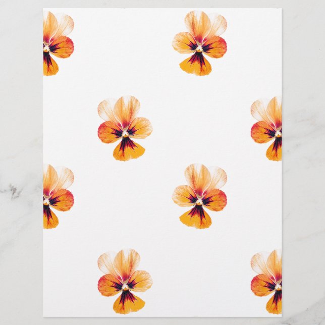 orange pansies (Front)