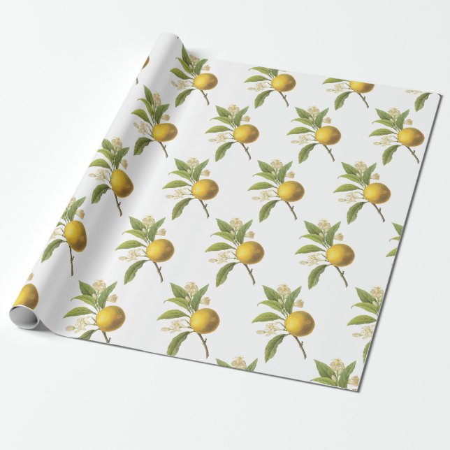 Orange Pattern Wrapping Paper (Unrolled)