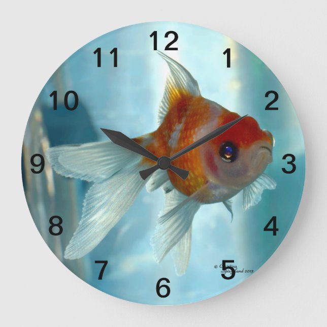 Orange pearlscale goldfish Wall Clock (Front)