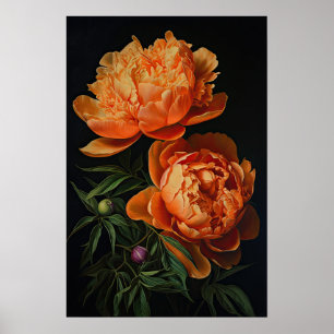 Orange Peonies Flower Art Print Poster
