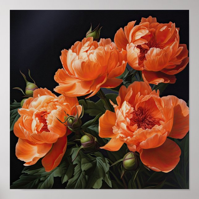 Orange Peonies Flower Art Print Poster (Front)