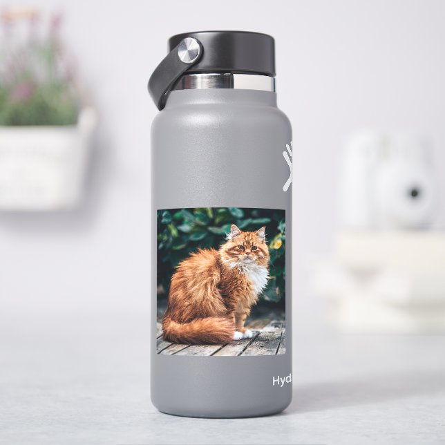 Orange Persian Cat (HydroFlask)