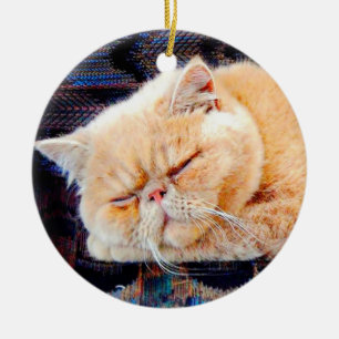 Orange Persian Cat Ceramic Ornament