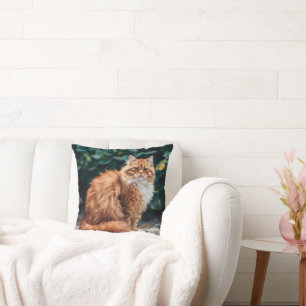 Orange Persian Cat Cushion