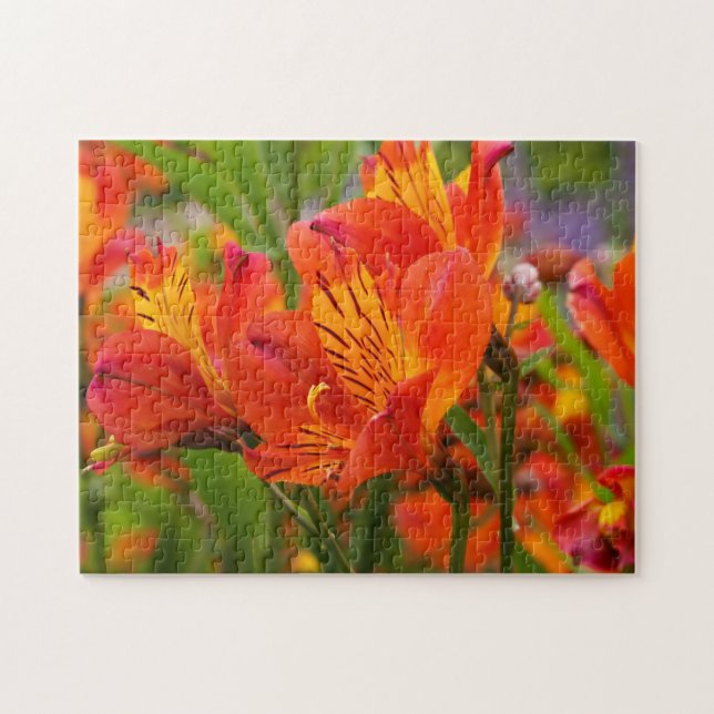 Orange Peruvian Lily Jigsaw Puzzle (Horizontal)