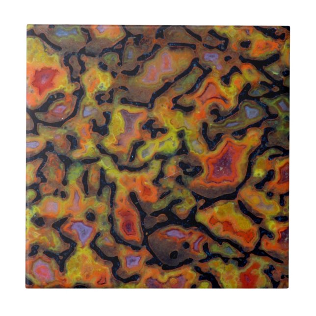 Orange Petrified Dinosaur Bone Ceramic Tile (Front)