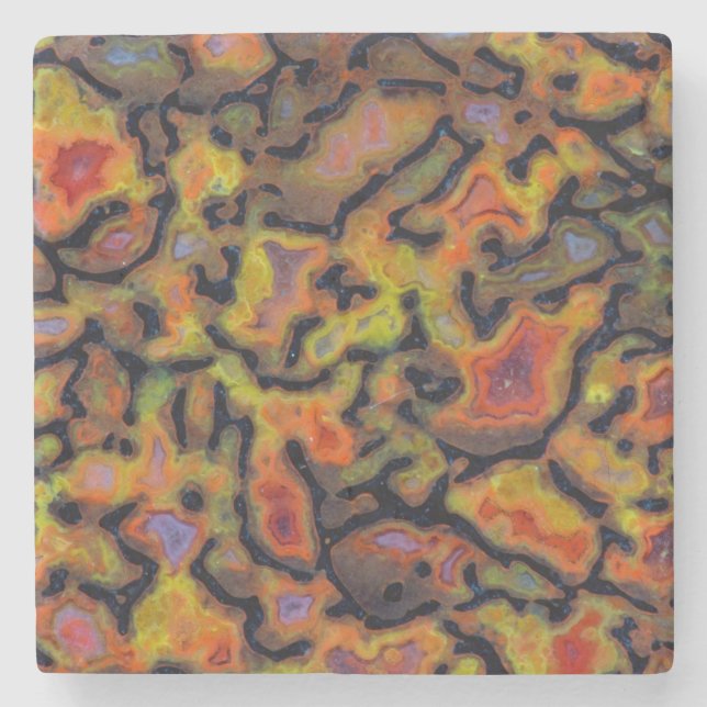Orange Petrified Dinosaur Bone Stone Coaster (Front)