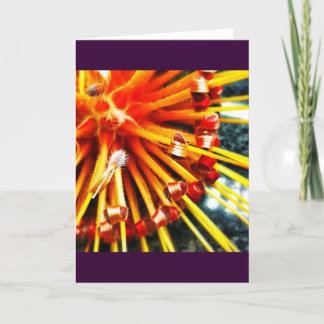 Orange Pincushion Protea Blank Greeting Card