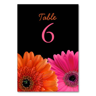 Orange Pink Gerbera Gerber Daisy Black Wedding Table Number