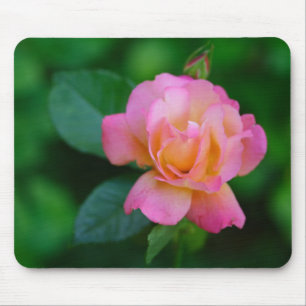 orange-pink rose mouse pad