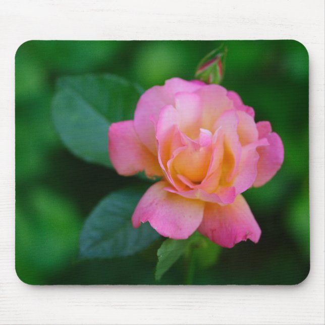 orange-pink rose mouse pad (Front)