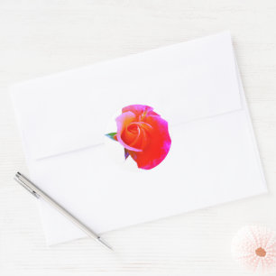 Orange Pink Rose Stikers Classic Round Sticker
