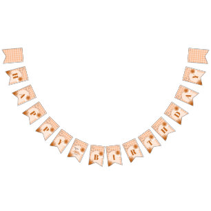 Orange Plaid First Trip Around The Sun Birthday Bunting