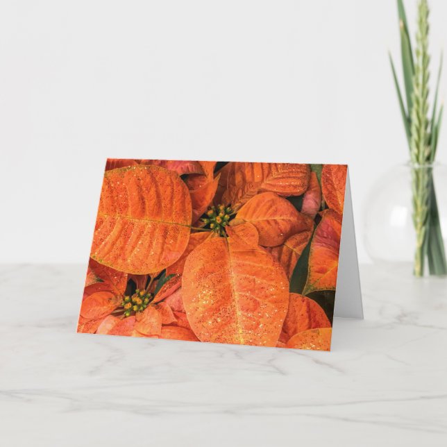 Orange poinsettia card (Front)