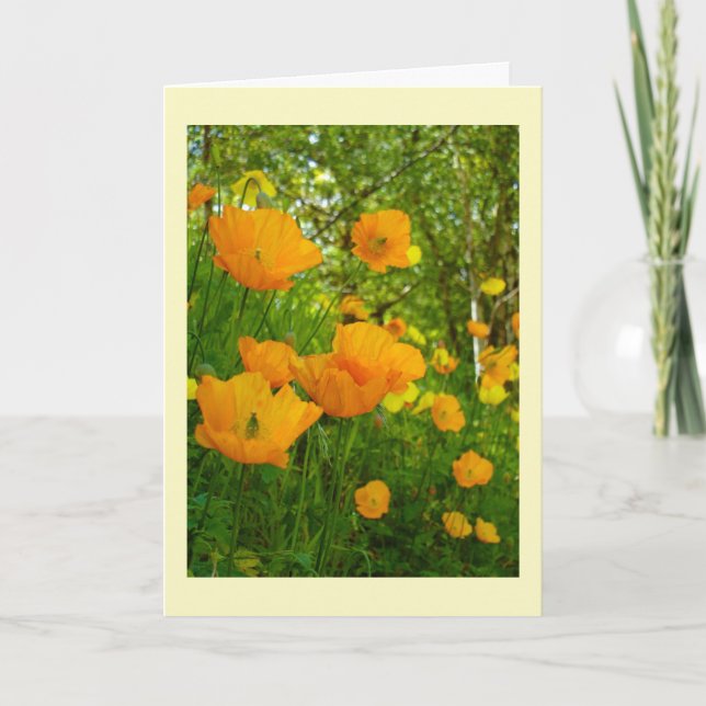 Orange poppies Birthday Card (Front)