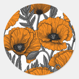 Orange poppies on white classic round sticker