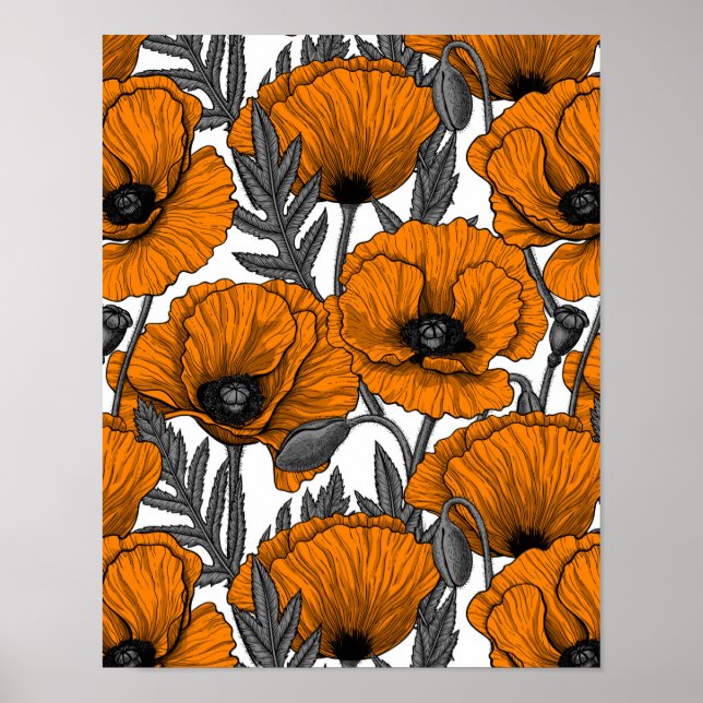 Orange poppies on white poster (Front)